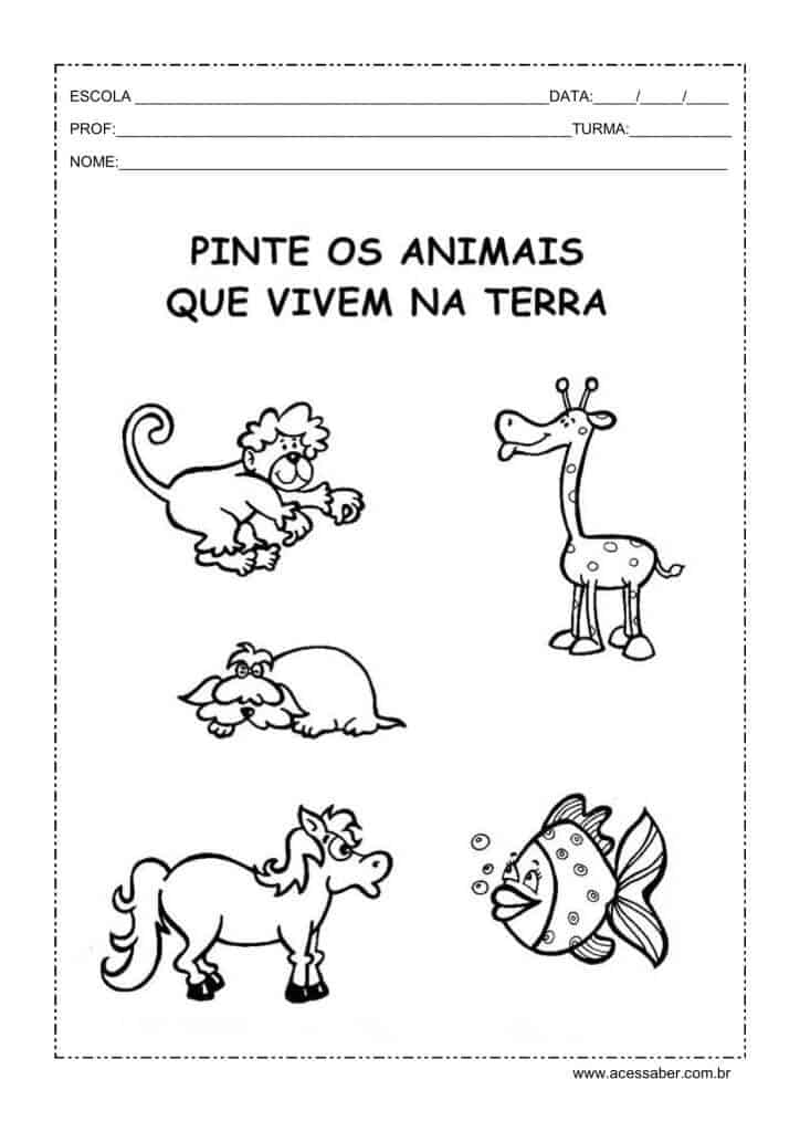 Atividades Sobre Animais Terrestres Aquáticos E Aéreos Para Educação Infantil