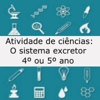 Atividade de ciências: O sistema excretor - 4º ou 5º ano