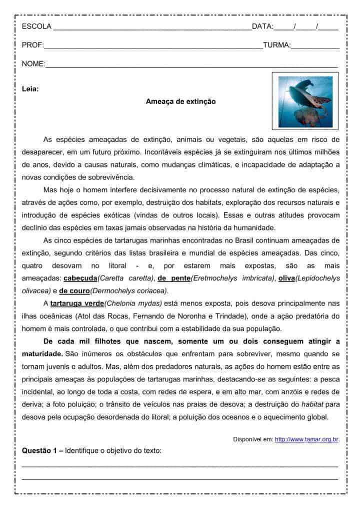Interpretação de texto: Ameaça de extinção - Tartarugas marinhas - 9º ano