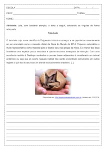 Atividade de língua portuguesa: Coloque as vírgula - 8º ano