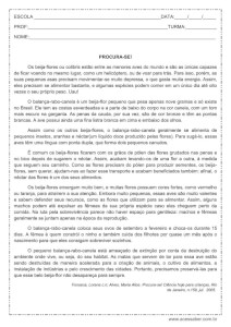 Interpretação de texto: Procura-se - 5º ou 6º ano