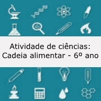 Atividade de ciências: Cadeia alimentar - 6º ano