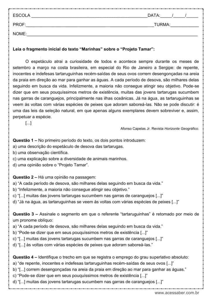 Atividade de língua portuguesa: Grau do adjetivo, superlativo absoluto - 1º ano do ensino médio