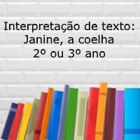 Interpretação de texto: Janine, a coelha - 2º ou 3º ano